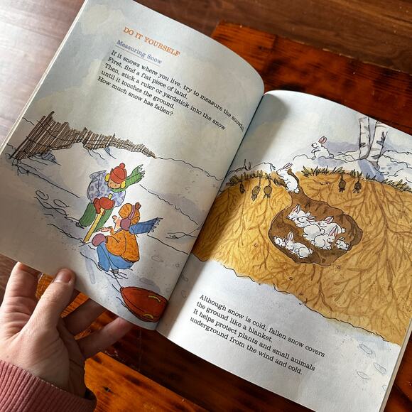 Vintage 1994 Do-It Yourself Science All About Snow & Ice Paperback Book - Picture 4 of 7